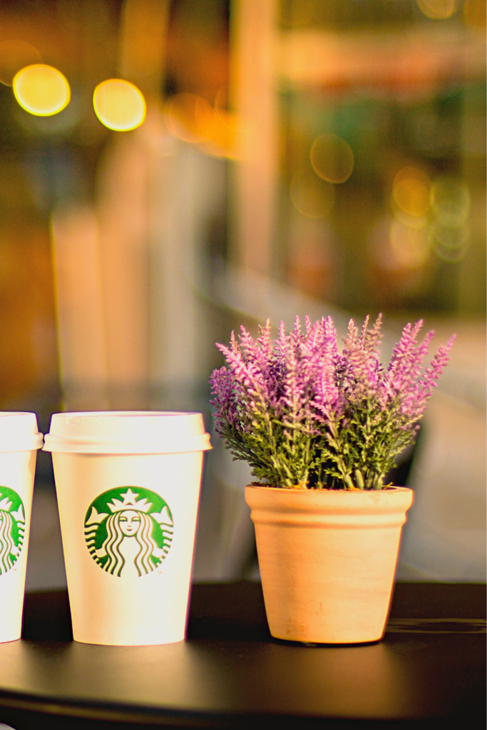 starbucks coffee next to a lavender plant
