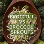 broccoli vs broccoli sprouts