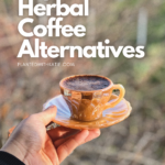 herbal coffee recipes
