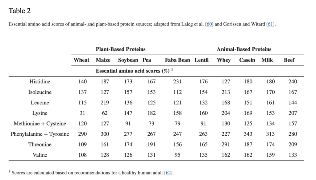 amino acids of plant based protein