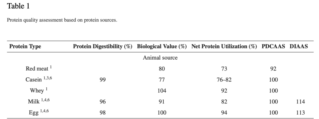 bioavailability of plant based protein