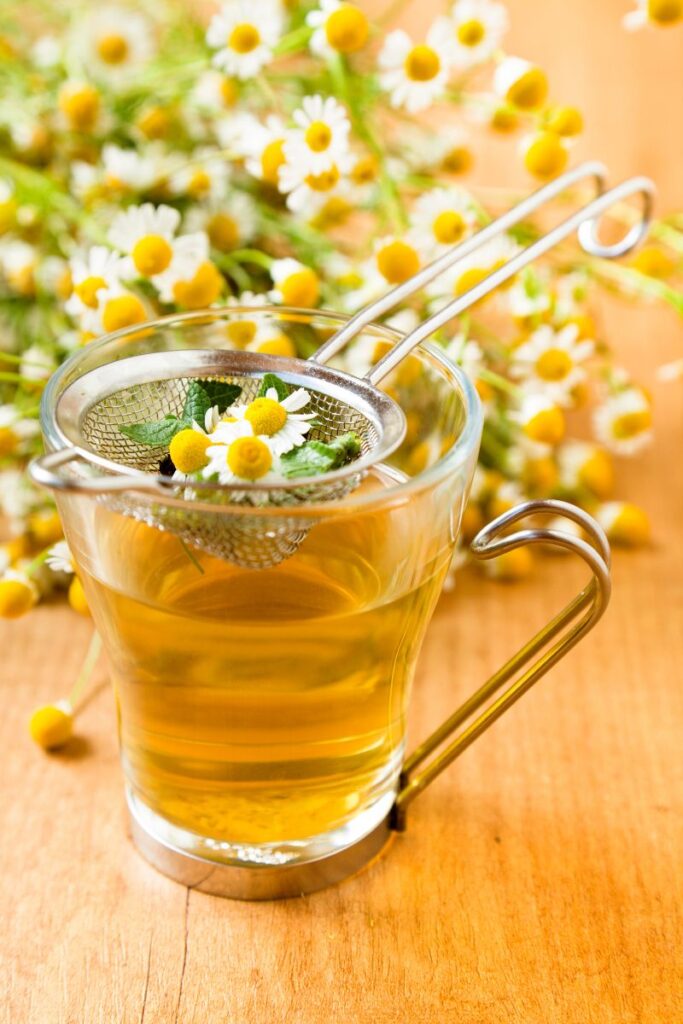 10 Specific Herbal Remedies Using Chamomile for Fever and Flu Relief