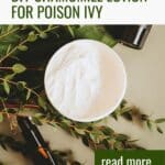 Easy DIY Recipe for Poison Ivy Remedies