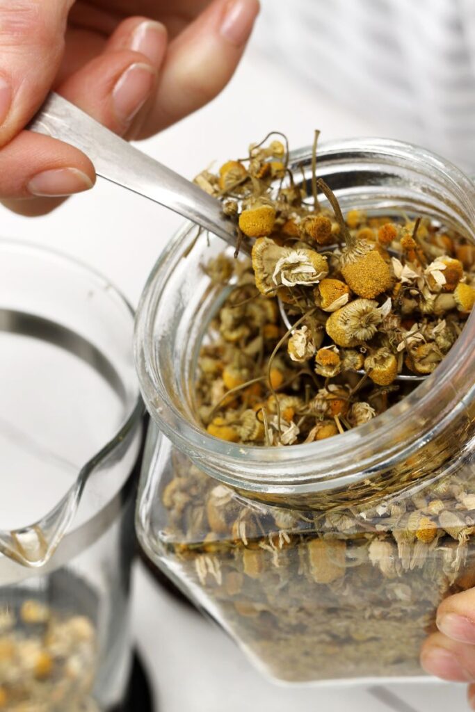 Can Herbal Tea Go Bad