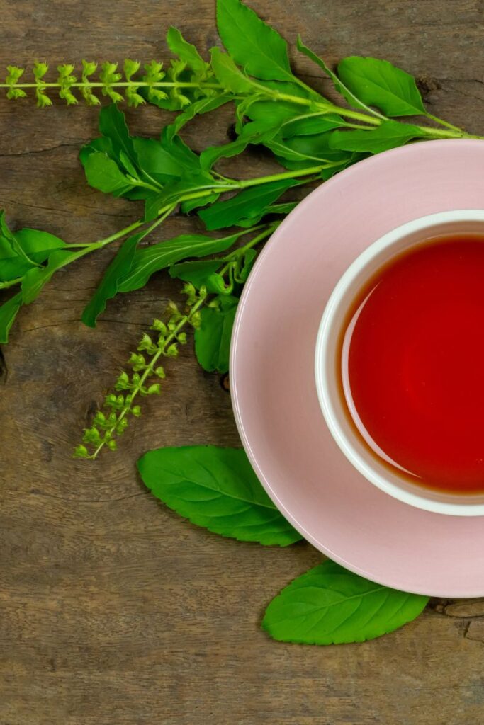 holy basil tea for upset stomach or nausea