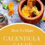 how to make calendula salve