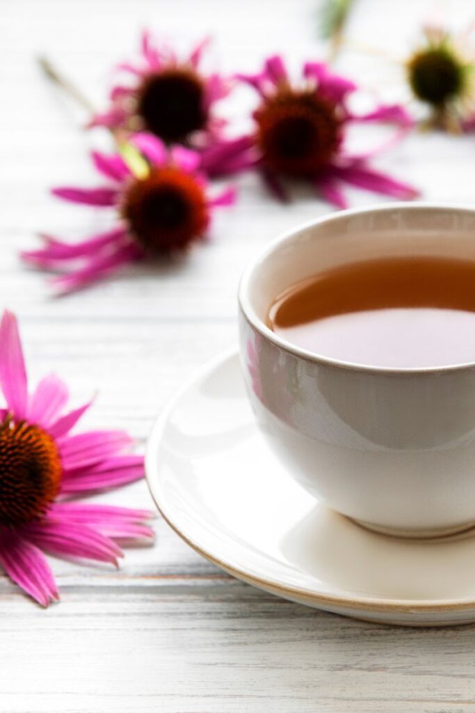 echinacea tea for inflammation