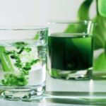 best organic liquid chlorophyll