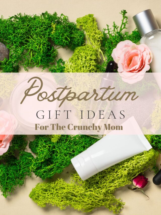 Postpartum Gift Ideas In 2023 (For The Non-Toxic Mom)