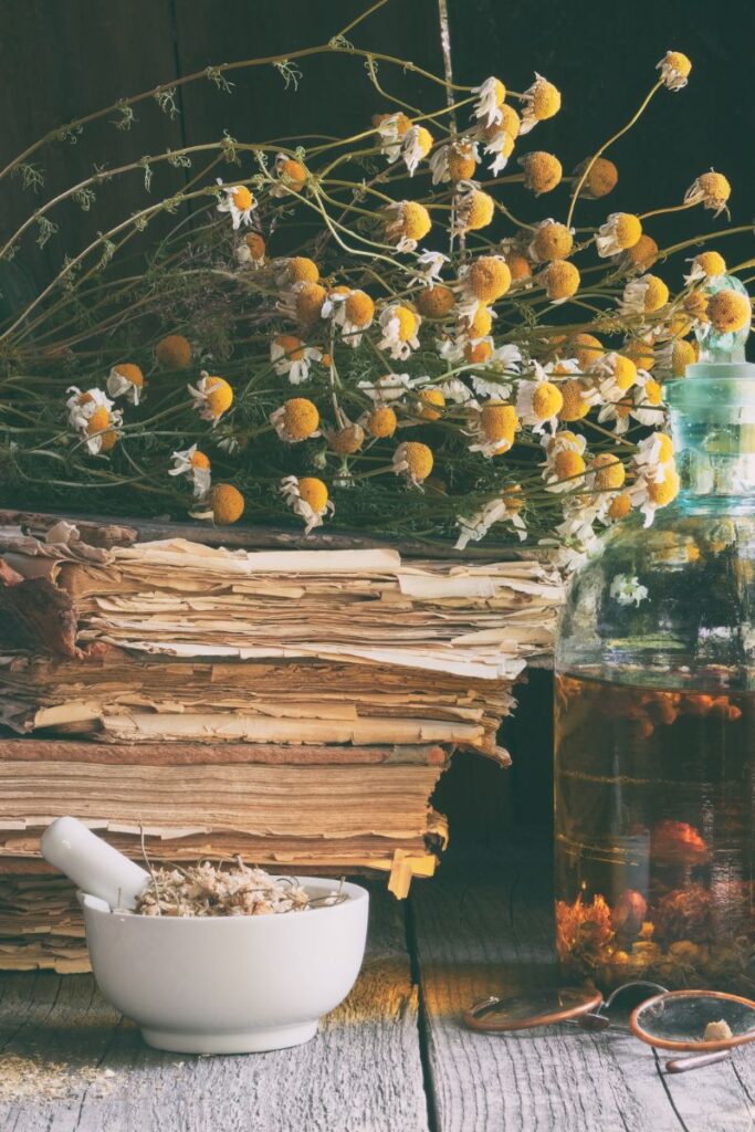 herbal books for beginners
