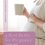 best herbs for pregnancy