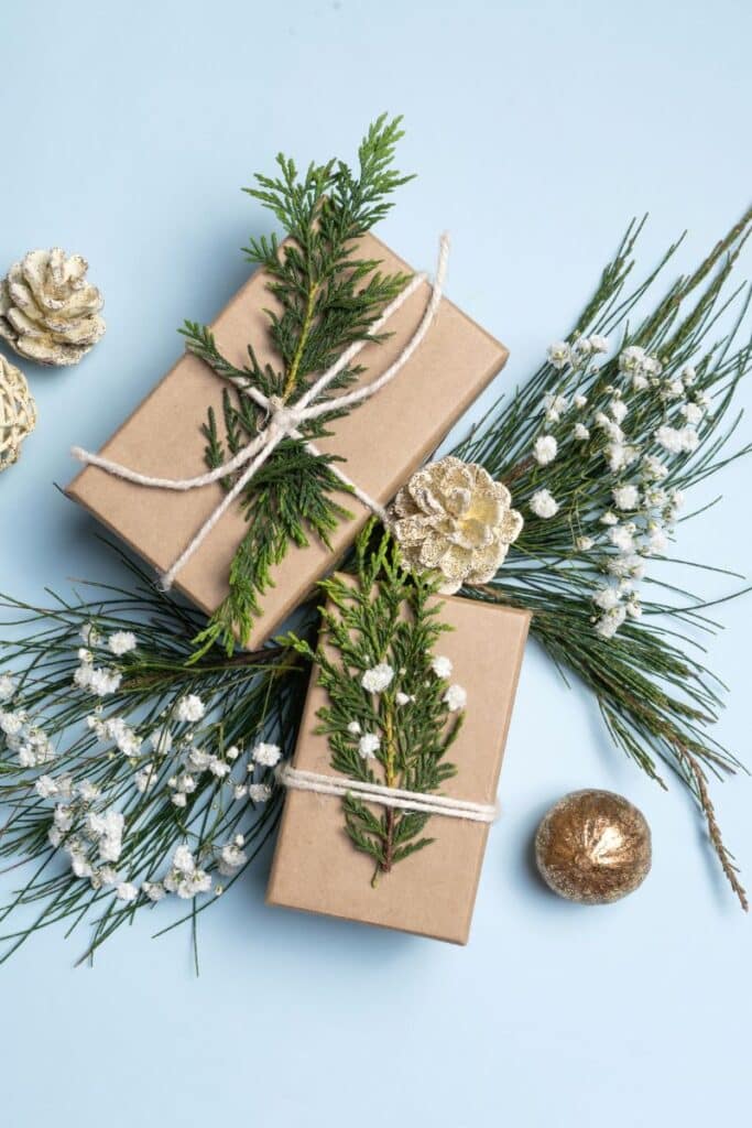 Best Holiday Gifts For Herbalists