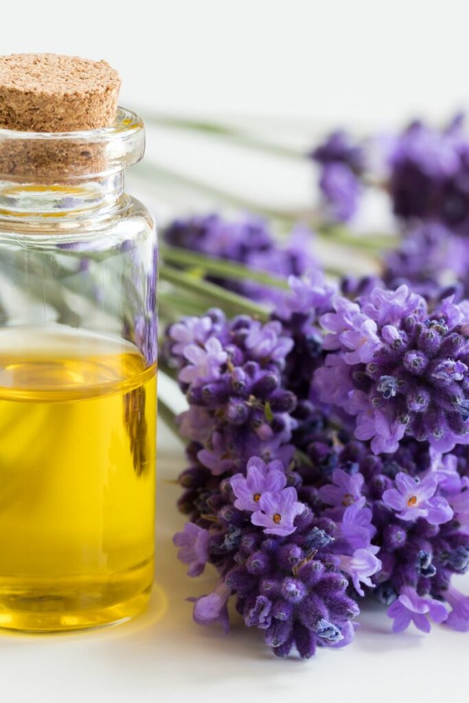lavender-infused massage oil