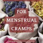 Herbal Remedies For Menstrual Pain