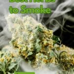 Best Herbs For Smokers